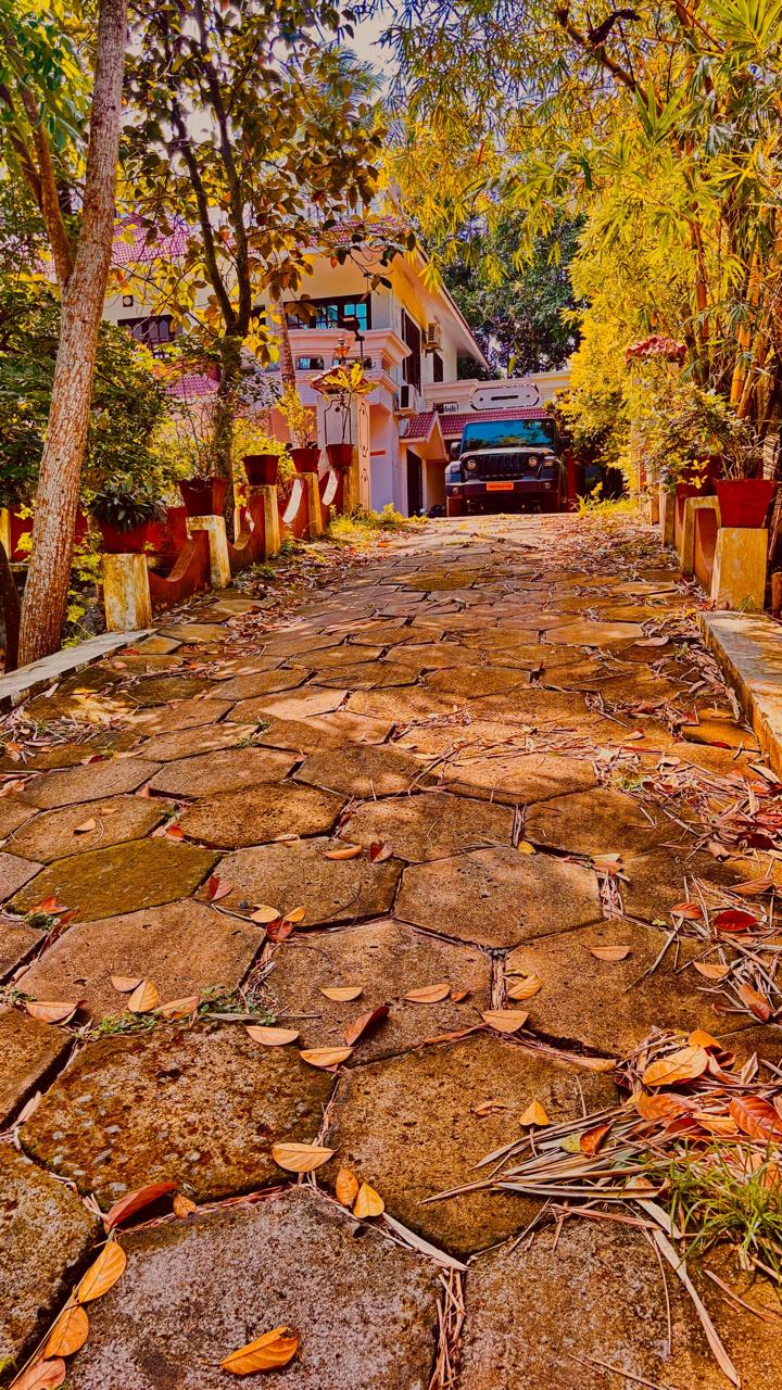 Stone driveway through the tropical garden