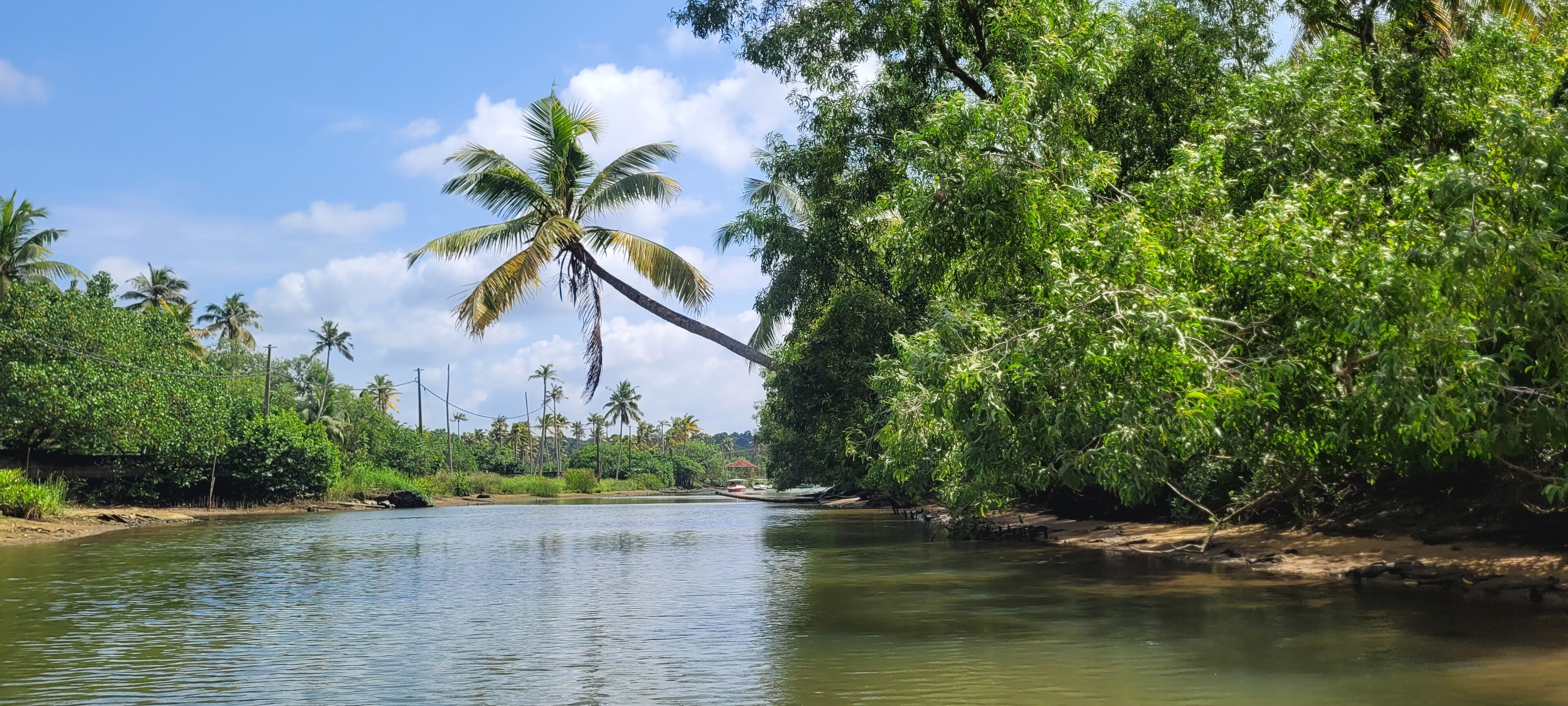 A boat travelling through the palm-lined Poovar backwaters in Kerala