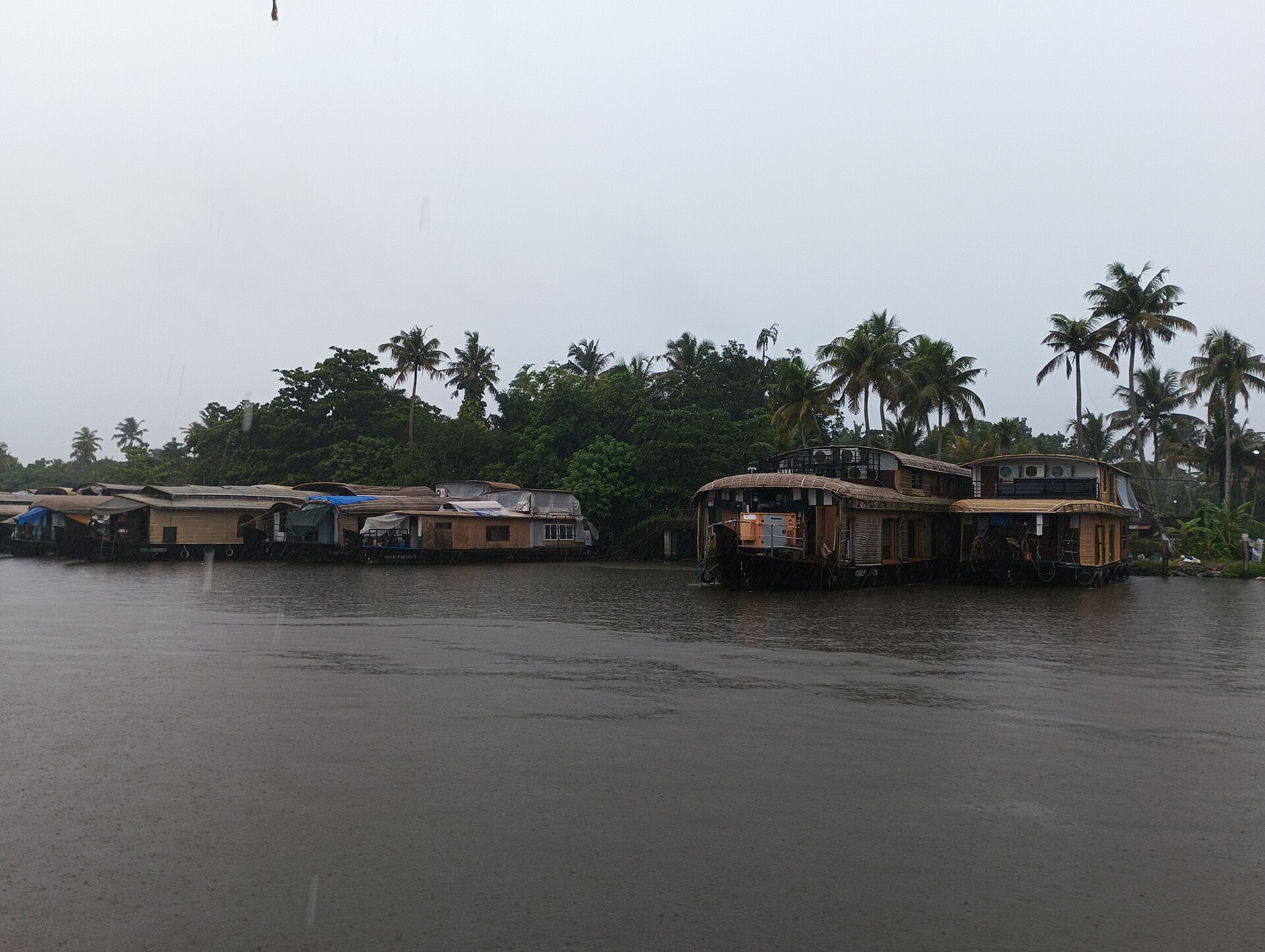 Lush waterways and palms along the Alappuzha backwaters in Kerala